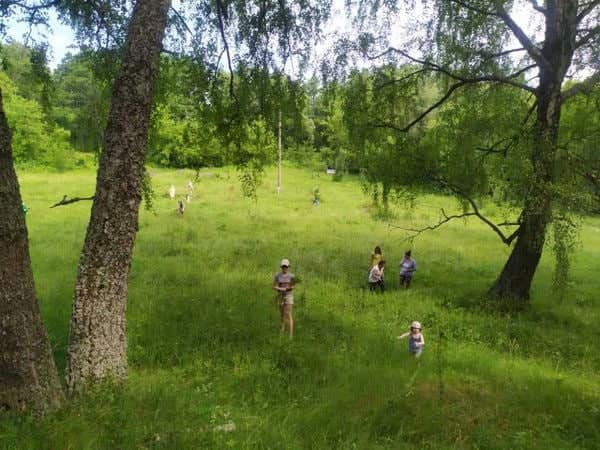 Святкування зеленої неділі