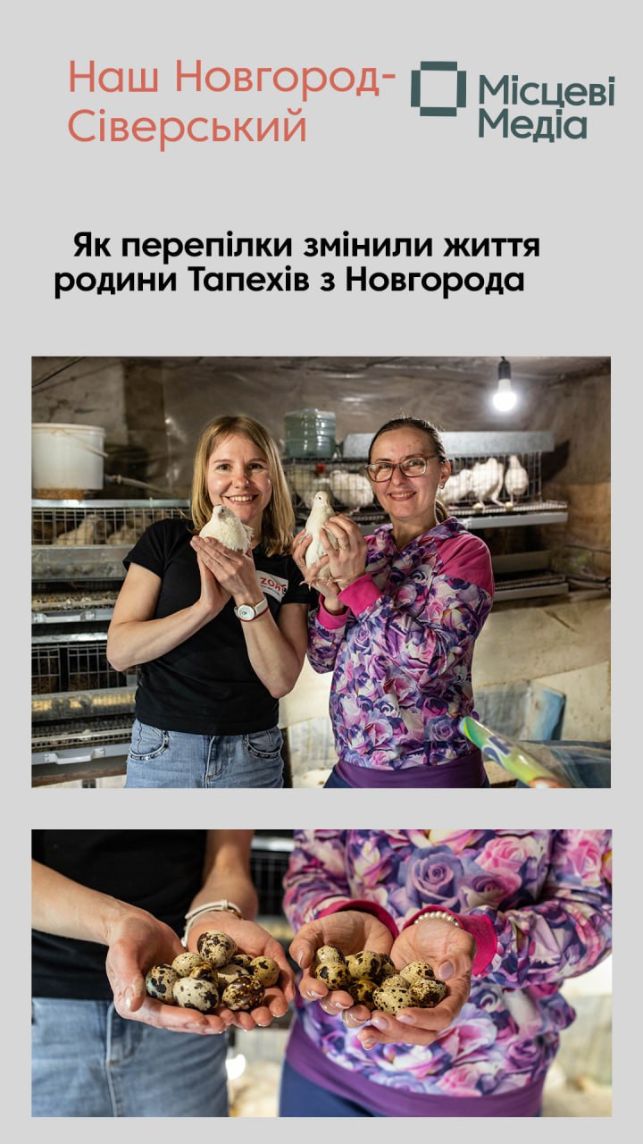 Як перепілки змінили життя родини Тапехів з Новгорода