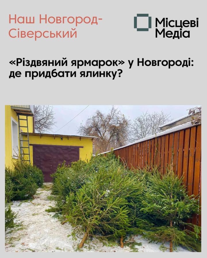 Де купити різдвяне дерево в Новгороді-Сіверському?