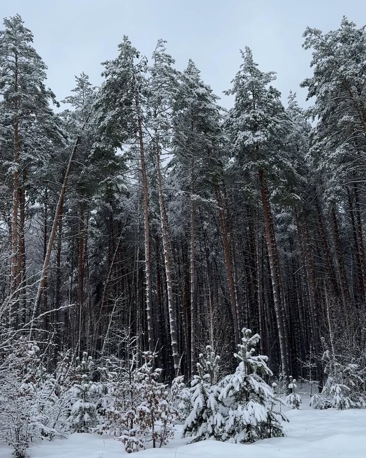 Про інтернет-видання «Наш Новгород-Сіверський»