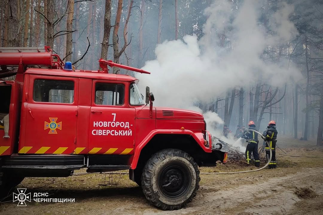 Рятувальники вчать гасити лісові пожежі