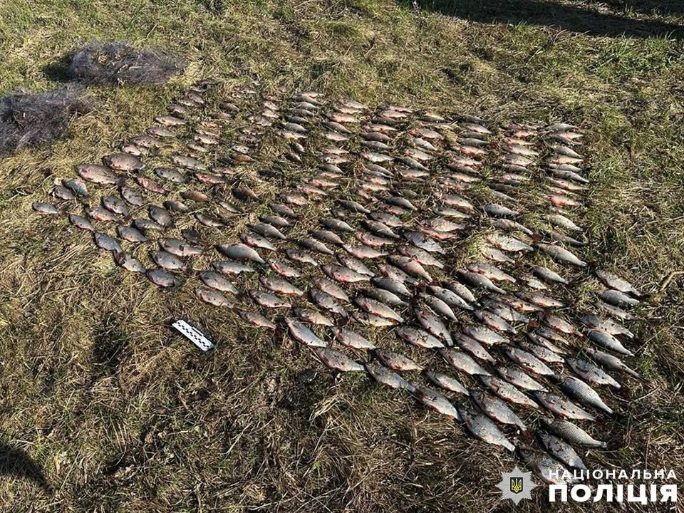 На Новгород-Сіверщині чоловік незаконно наловив риби на понад 300 тисяч під час нересту