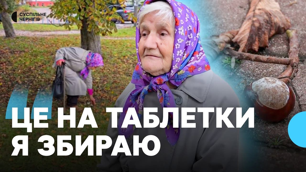 Жителька Новгорода-Сіверського заробляє на зборі каштанів
