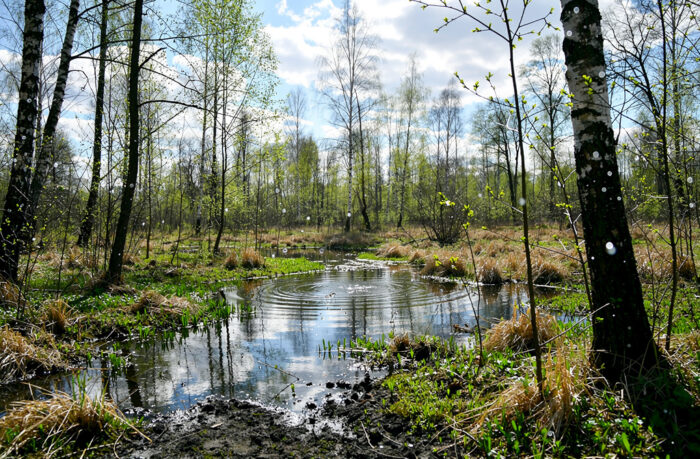 Погода у Новгороді-Сіверському на 23.04.2026