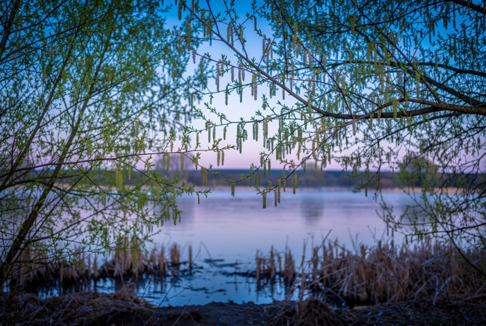Погода у Новгороді-Сіверському на 10.04.2026