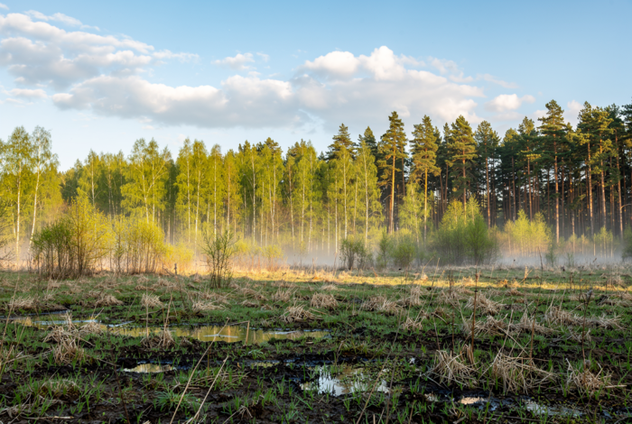 Погода у Новгороді-Сіверському на 21.04.2026