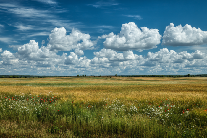 Погода у Новгороді-Сіверському на 24.07.2026