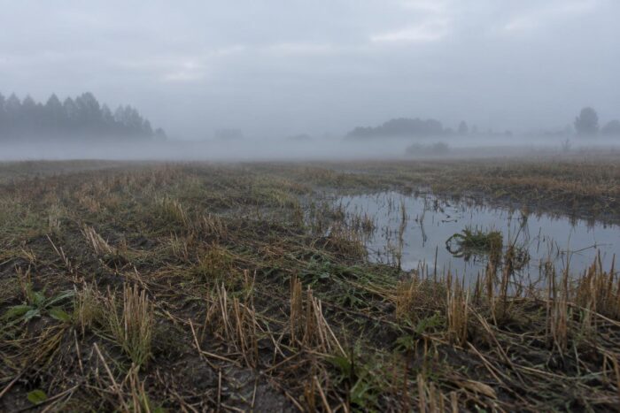 Погода у Новгороді-Сіверському на 18.09.2026