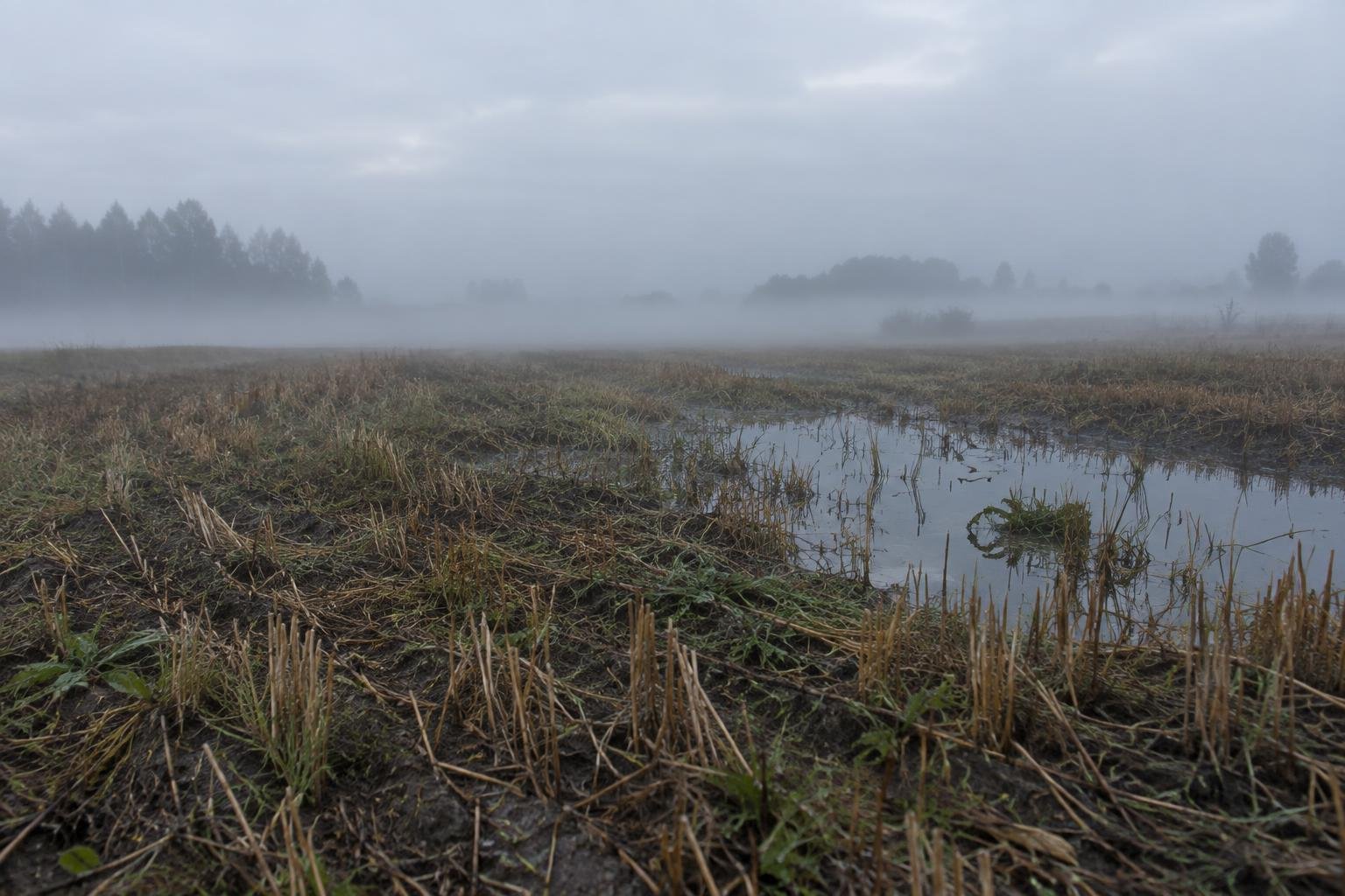 Погода у Новгороді-Сіверському на 18.09.2026