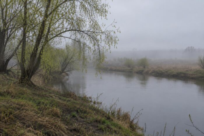 Погода у Новгороді-Сіверському на 19.09.2026