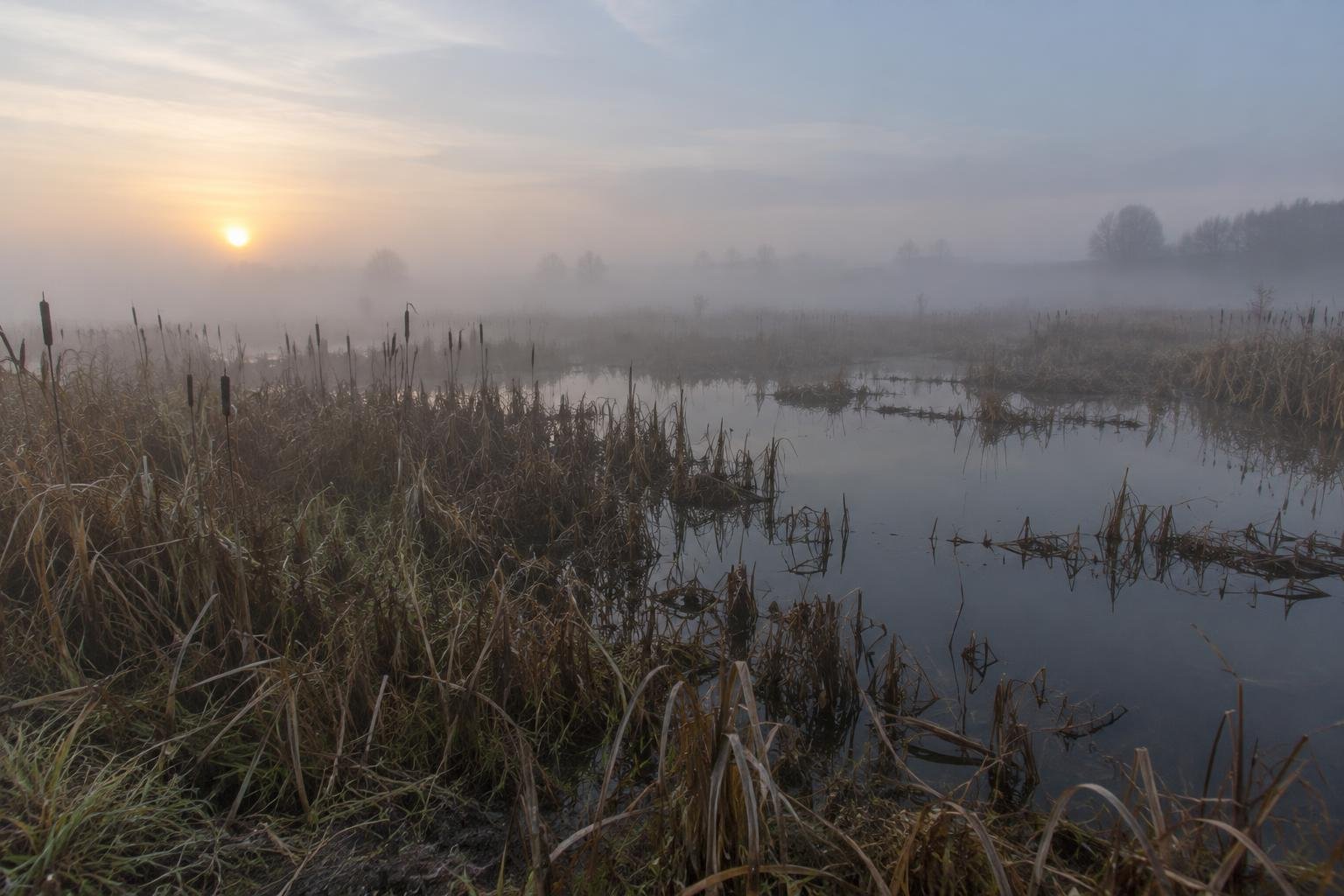 Погода у Новгороді-Сіверському на 22.09.2026