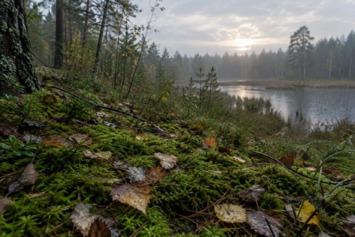 Погода у Новгороді-Сіверському на 24.09.2026