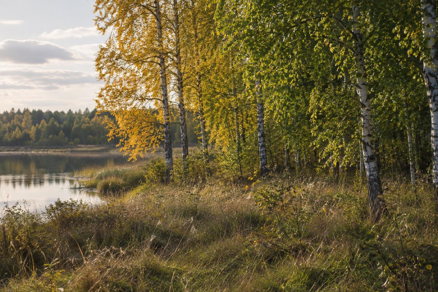 Погода у Новгороді-Сіверському на 26.09.2026