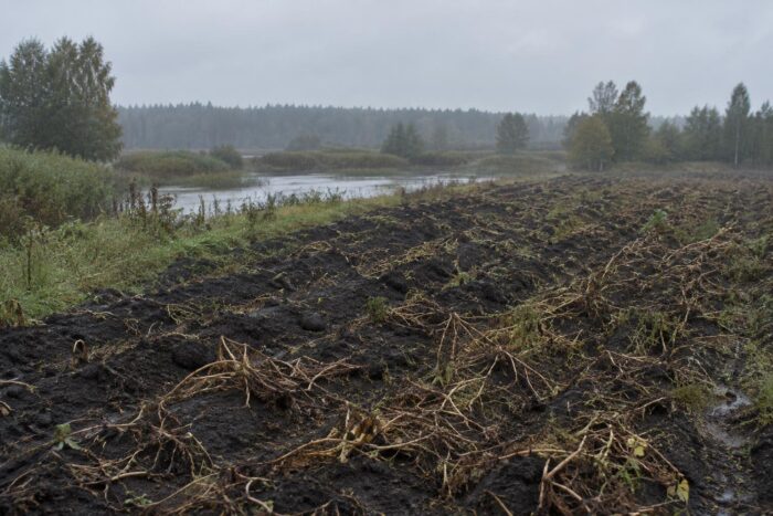 Погода у Новгороді-Сіверському на 27.09.2026
