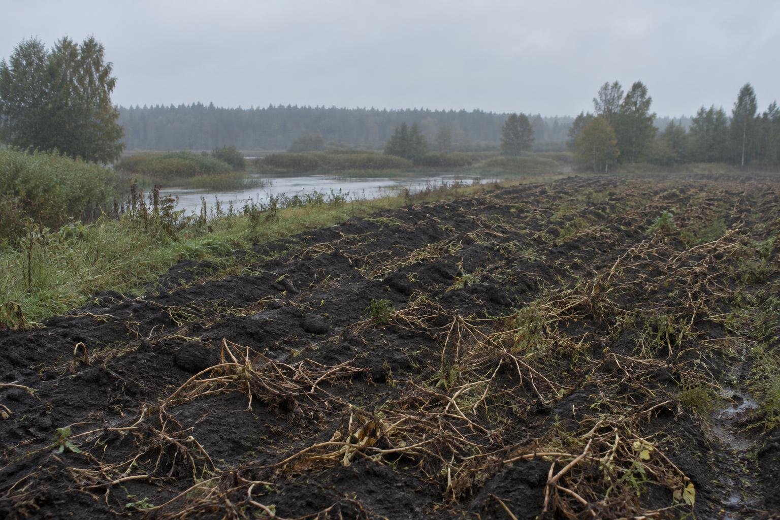 Погода у Новгороді-Сіверському на 27.09.2026